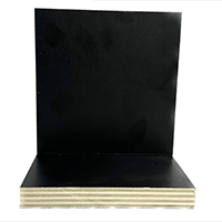 Phenolic Baltic Birch Plywood (noir)
